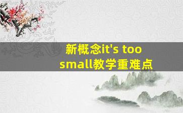 新概念it's too small教学重难点